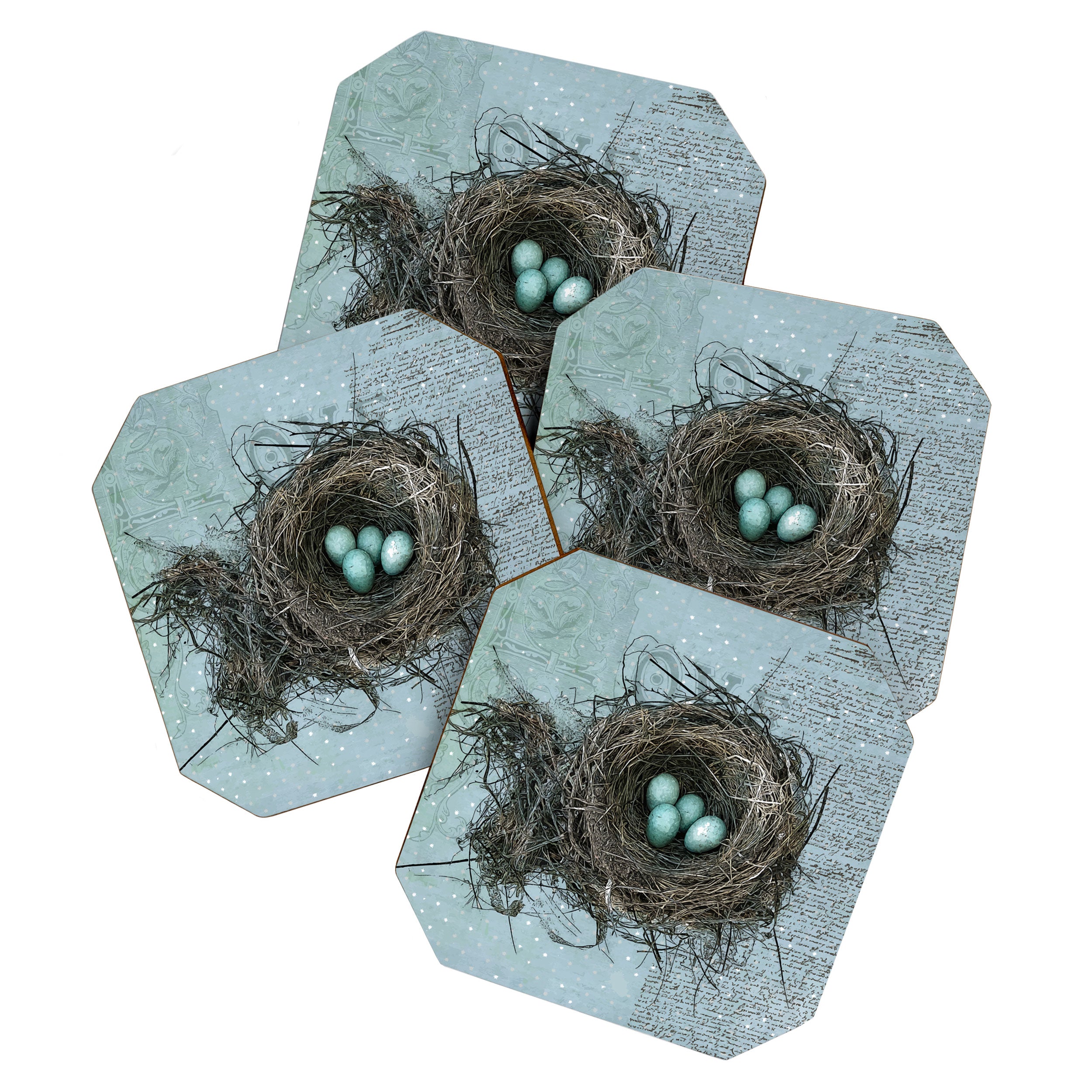 Bird Nest Coaster Gallery Image 1