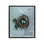 Bird Nest Framed Canvas Print Gallery Image 14