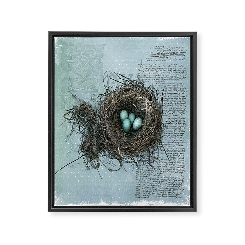 Bird Nest Framed Canvas Print Gallery Image 14