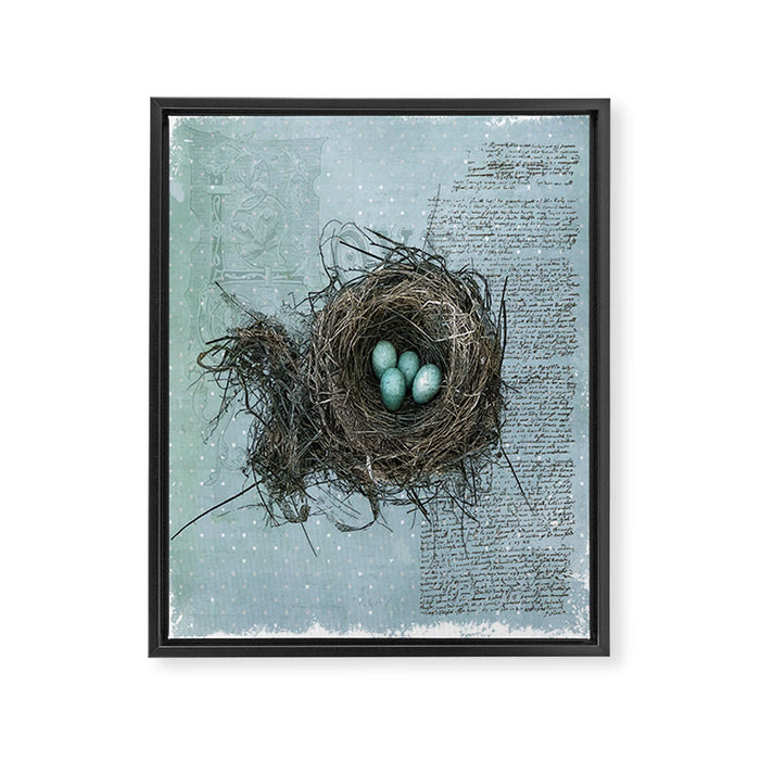 Bird Nest Framed Canvas Print Gallery Image 1