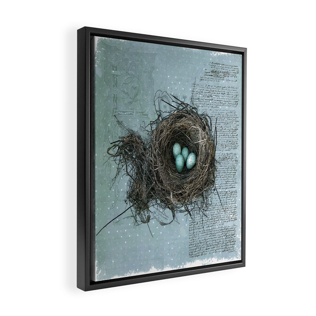 Bird Nest Framed Canvas Print Gallery Image 2