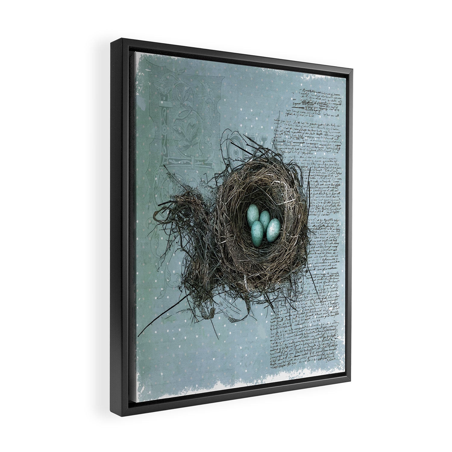 Bird Nest Framed Canvas Print Gallery Image 2
