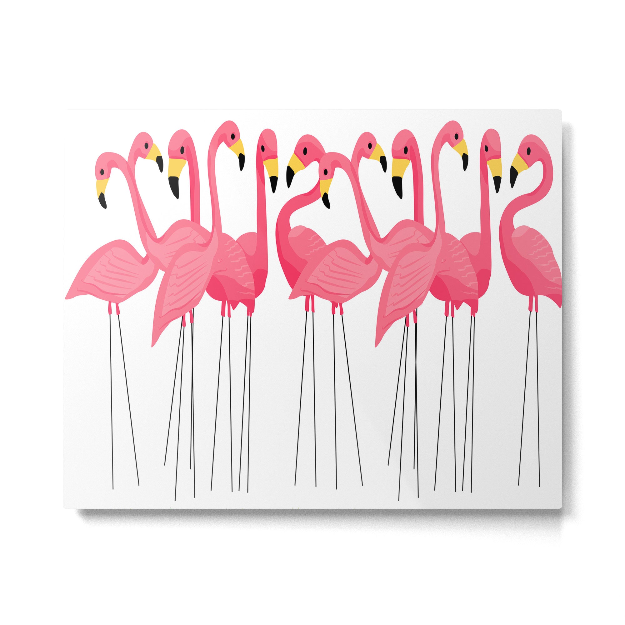 Cuban Pink Flamingos Metal Print Gallery Image 6