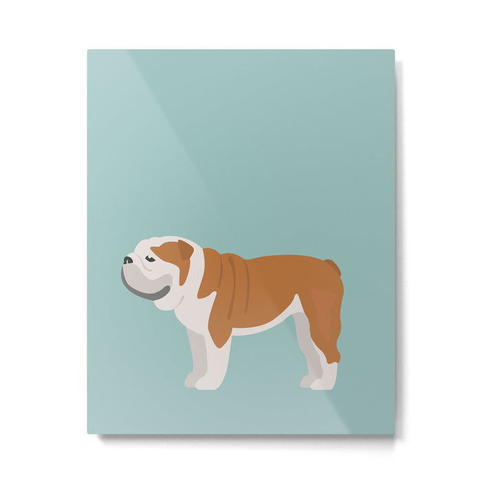 English Bulldog Metal Print Gallery Image 1