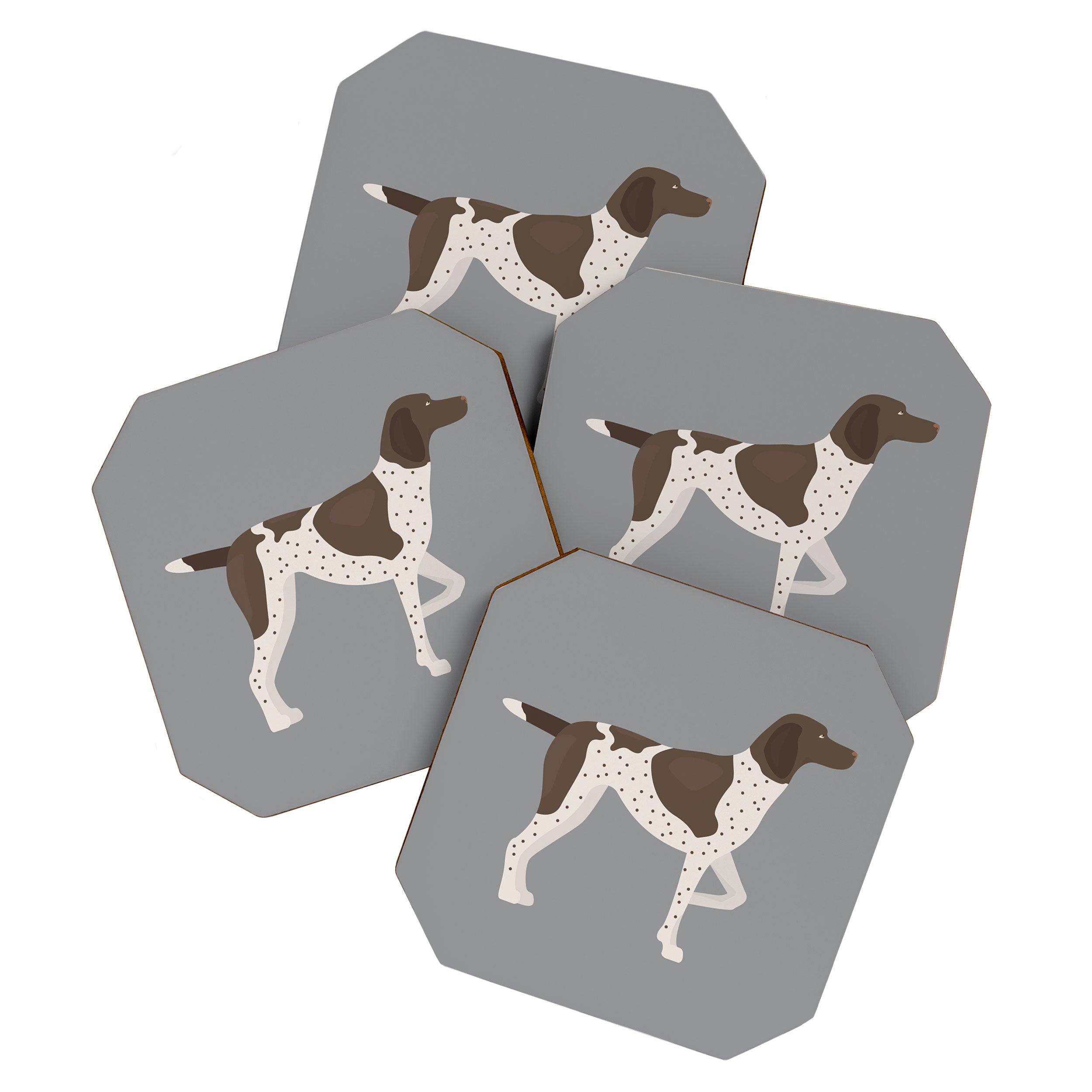 German Shorthaired Pointer Coaster Gallery Image 1