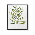 Palm Leaf Framed Canvas Print Gallery Image 6