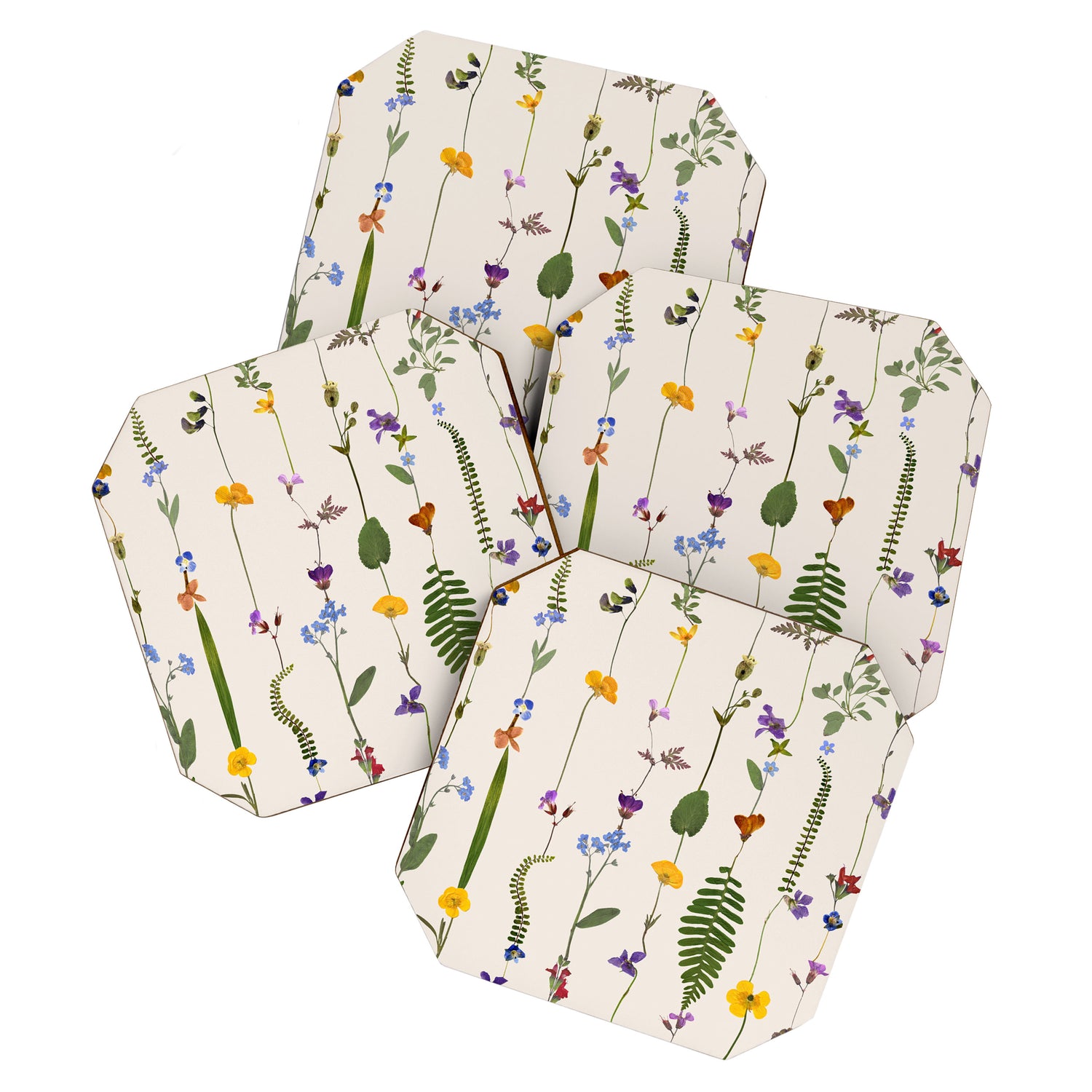 Pressed Florals Coaster Gallery Image 1