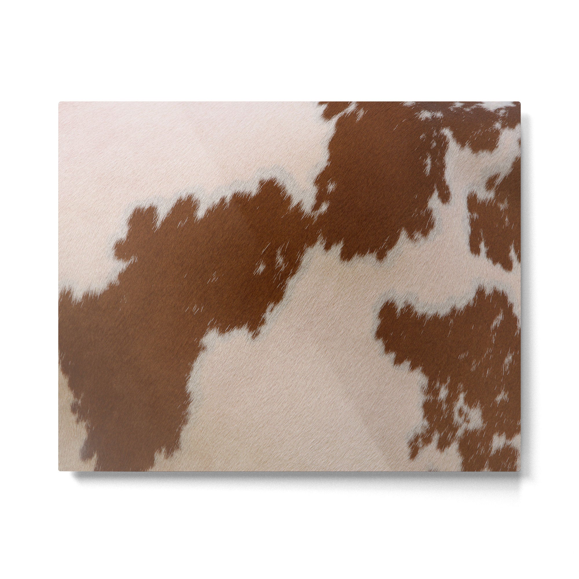 Spotted Light Brown Cowhide Metal Print Gallery Image 4