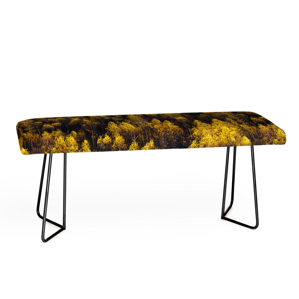 landscape trees 87 Bench Gallery Image 1