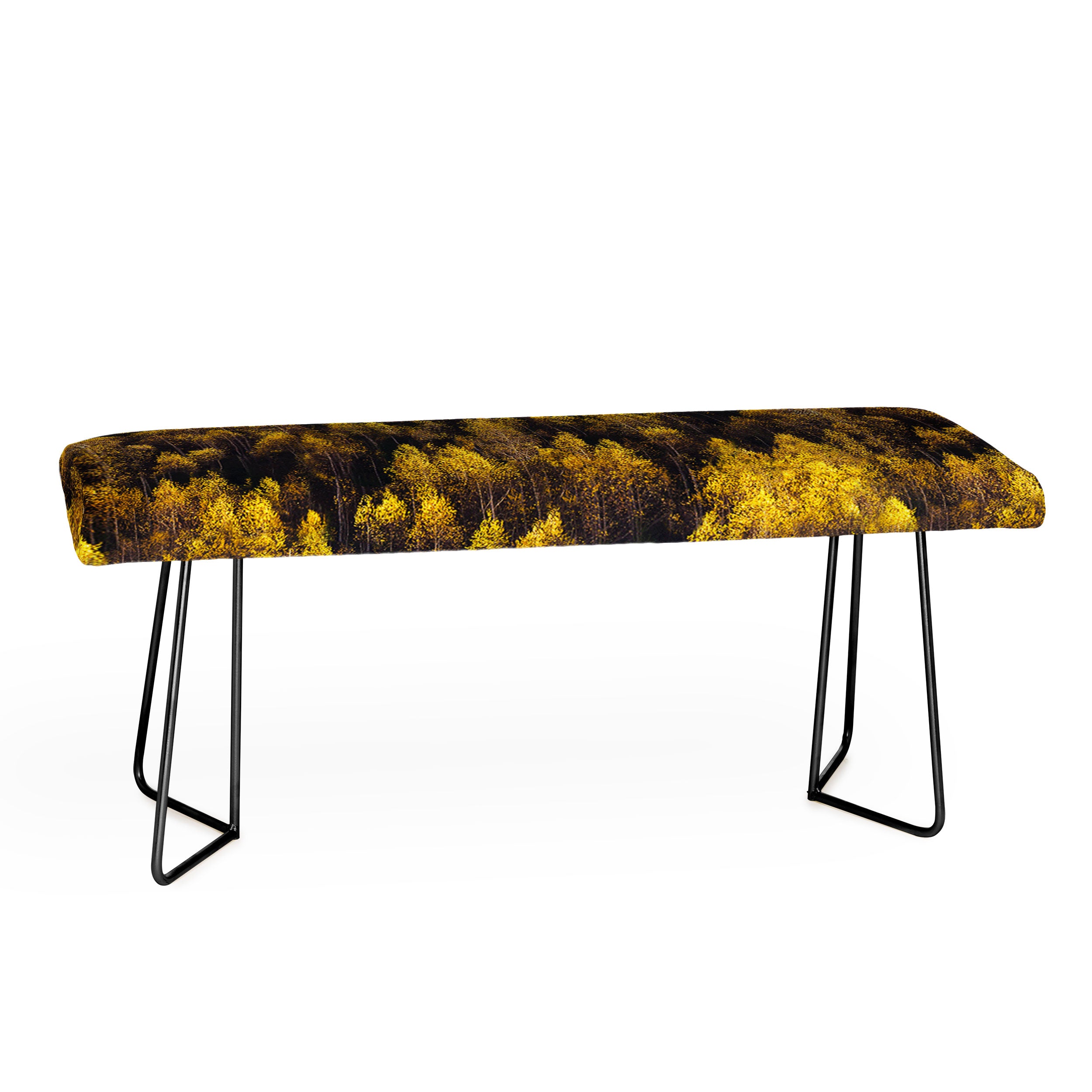 landscape trees 87 Bench Gallery Image 1