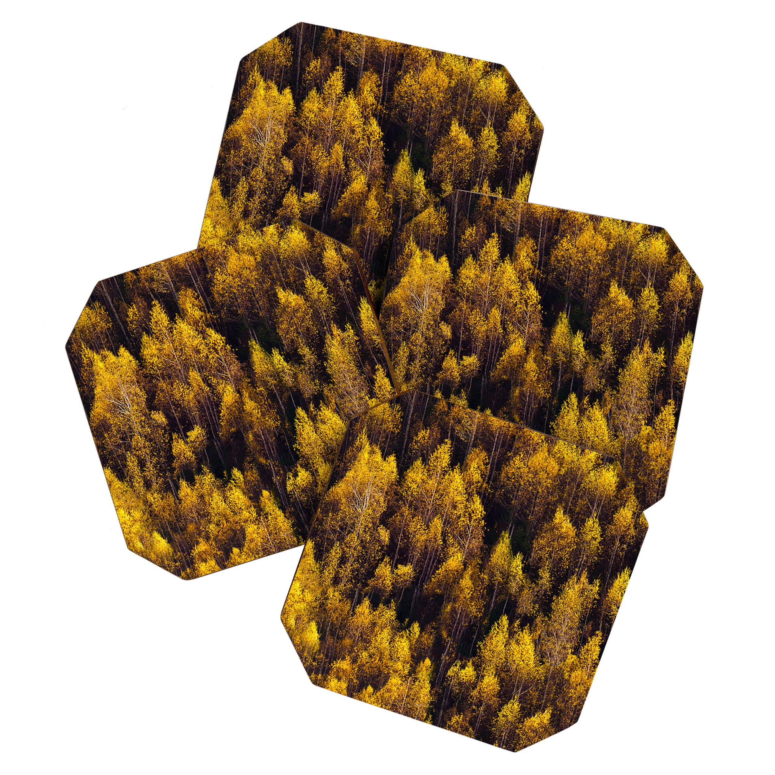 landscape trees 87 Coaster Gallery Image 1