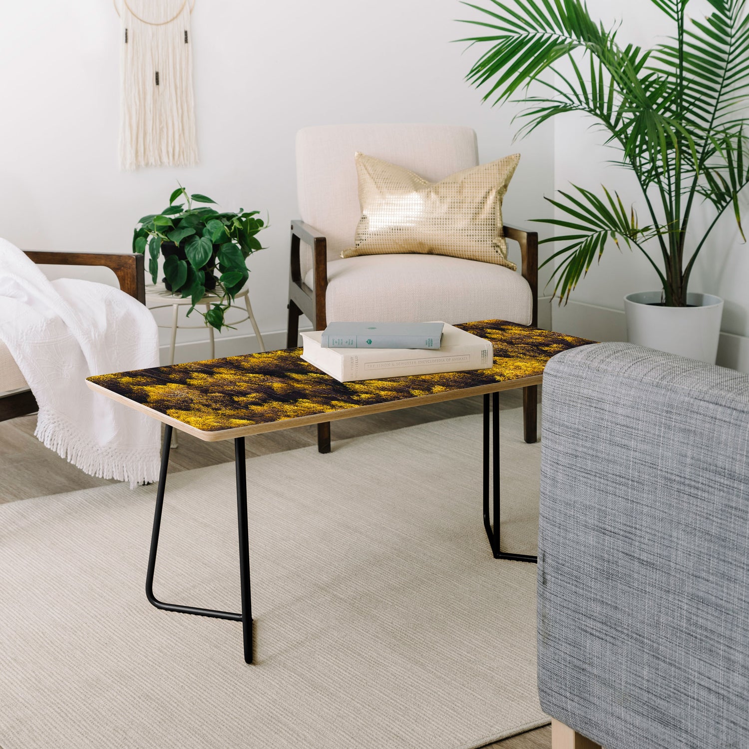 landscape trees 87 Coffee Table Gallery Image 4