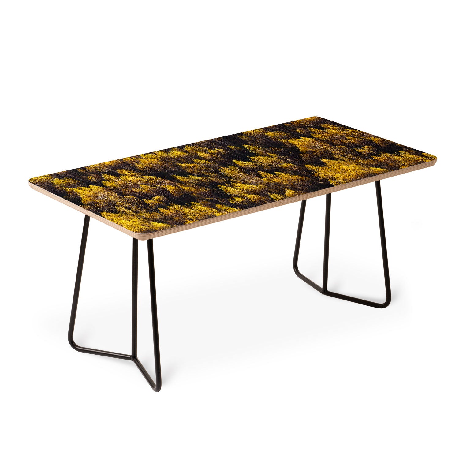 landscape trees 87 Coffee Table Gallery Image 2