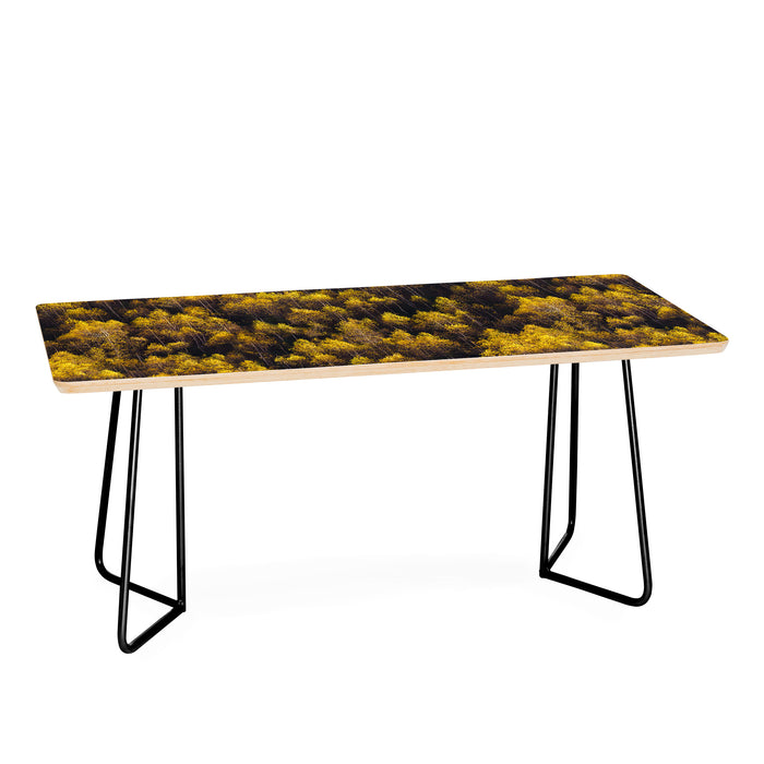 landscape trees 87 Coffee Table Gallery Image 1