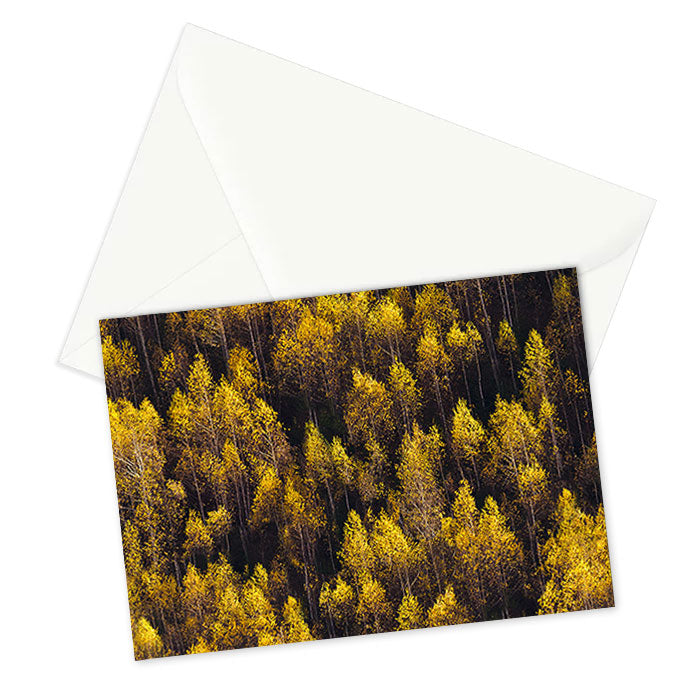 landscape trees 87 Stationery Card Gallery Image 2