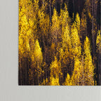 landscape trees 87 Poster Gallery Image 3