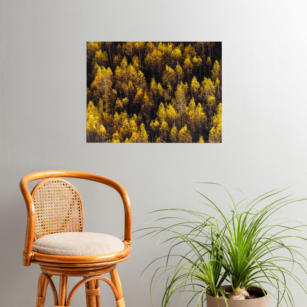 landscape trees 87 Poster Gallery Image 2