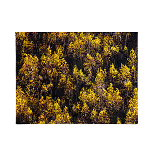 landscape trees 87 Poster Gallery Image 1