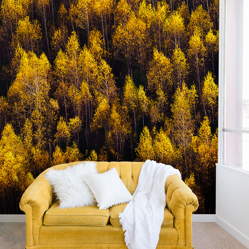 landscape trees 87 Wall Mural Gallery Image 2