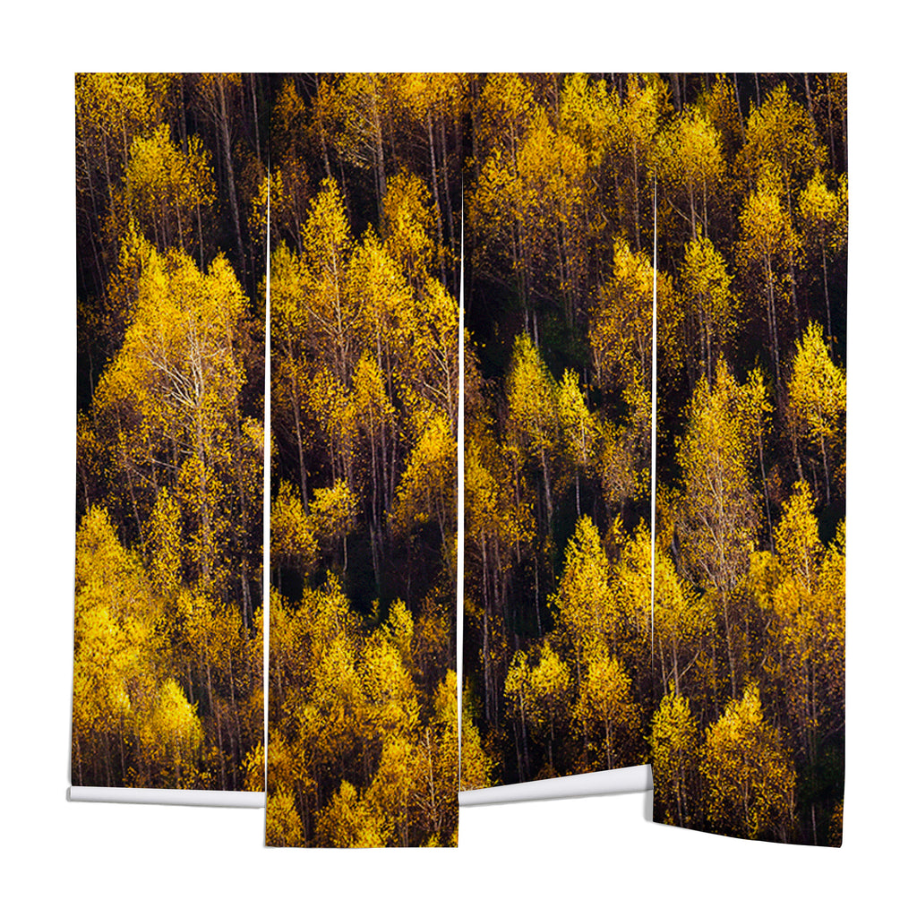 landscape trees 87 Wall Mural Gallery Image 1