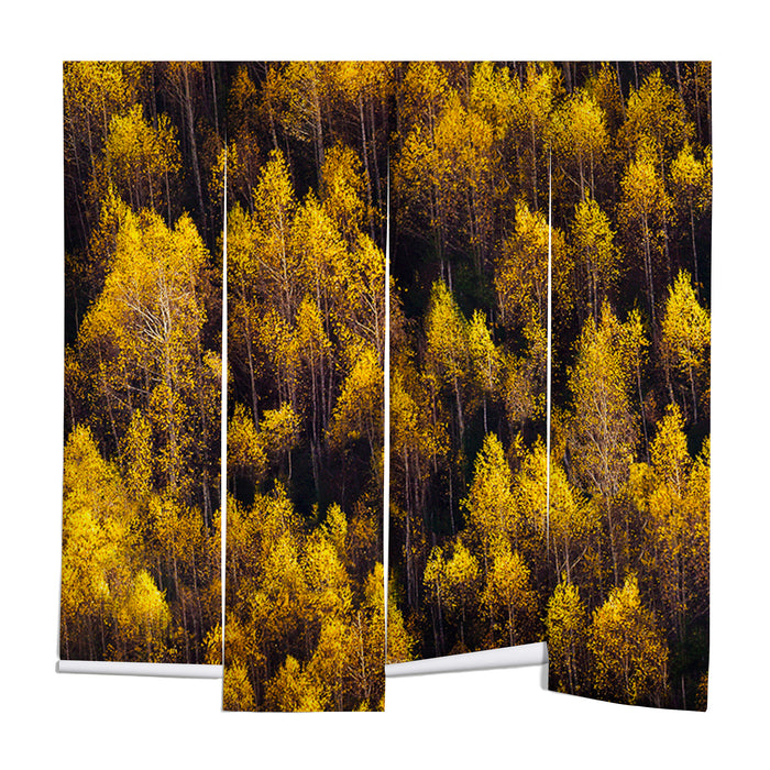 landscape trees 87 Wall Mural Gallery Image 1