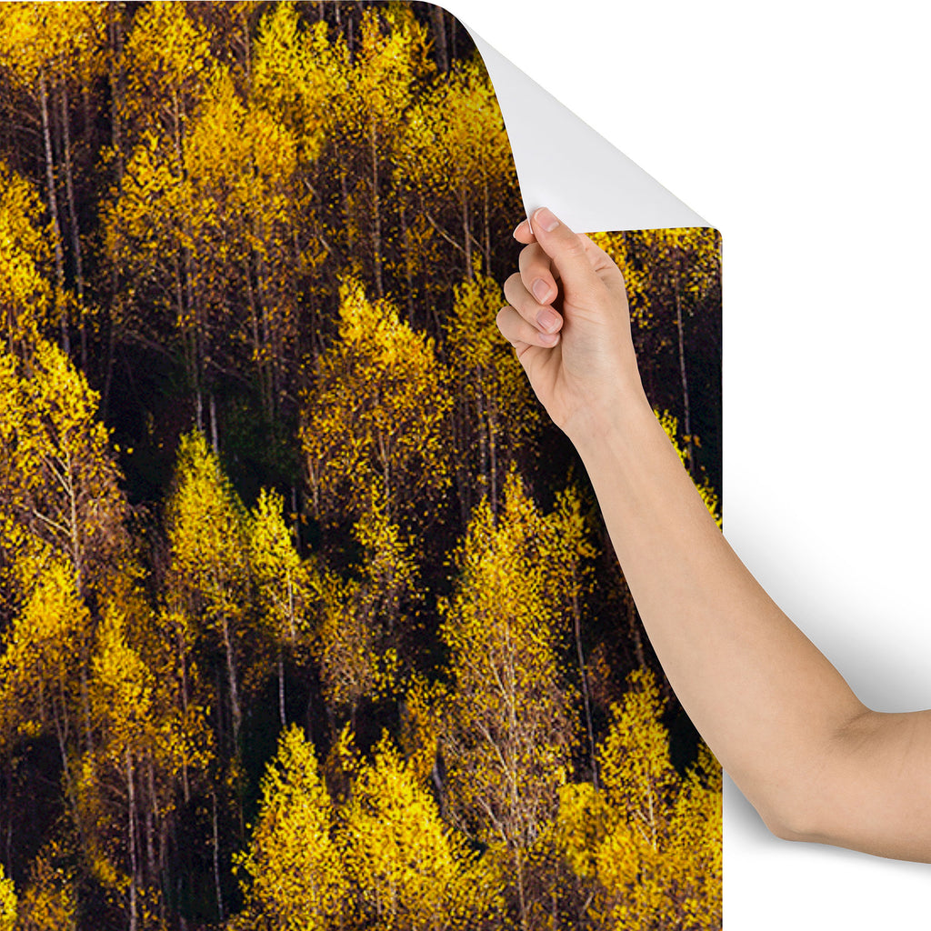 landscape trees 87 Wallpaper Gallery Image 4