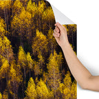 landscape trees 87 Wallpaper Gallery Image 4