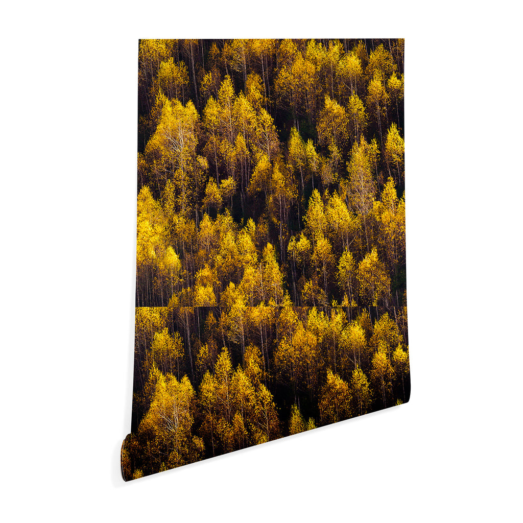 landscape trees 87 Wallpaper Gallery Image 3