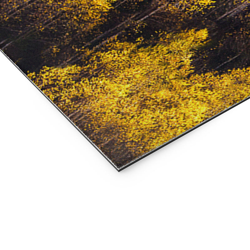 landscape trees 87 Welcome Mat Gallery Image 3