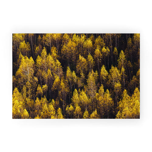 landscape trees 87 Welcome Mat Gallery Image 1