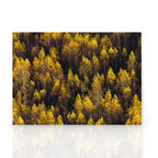 landscape trees 87 Stationery Card Gallery Image 2