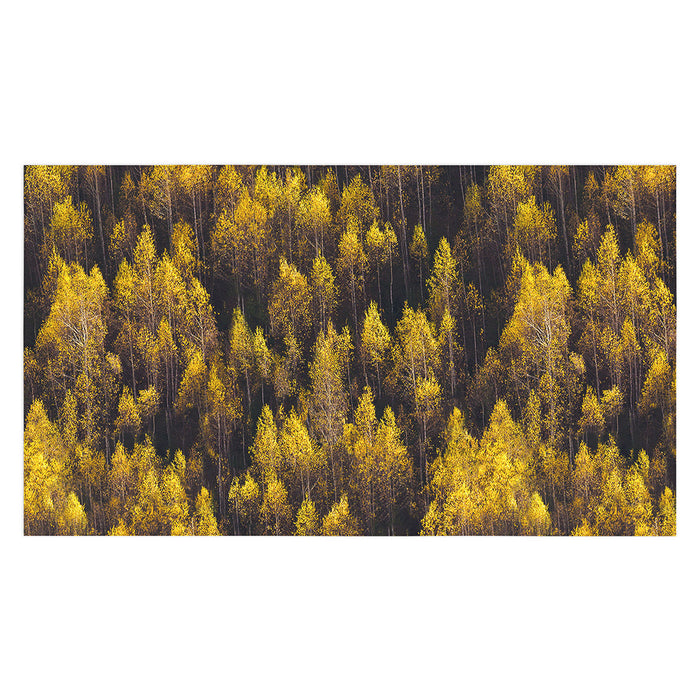 landscape trees 87 Tablecloth Gallery Image 1