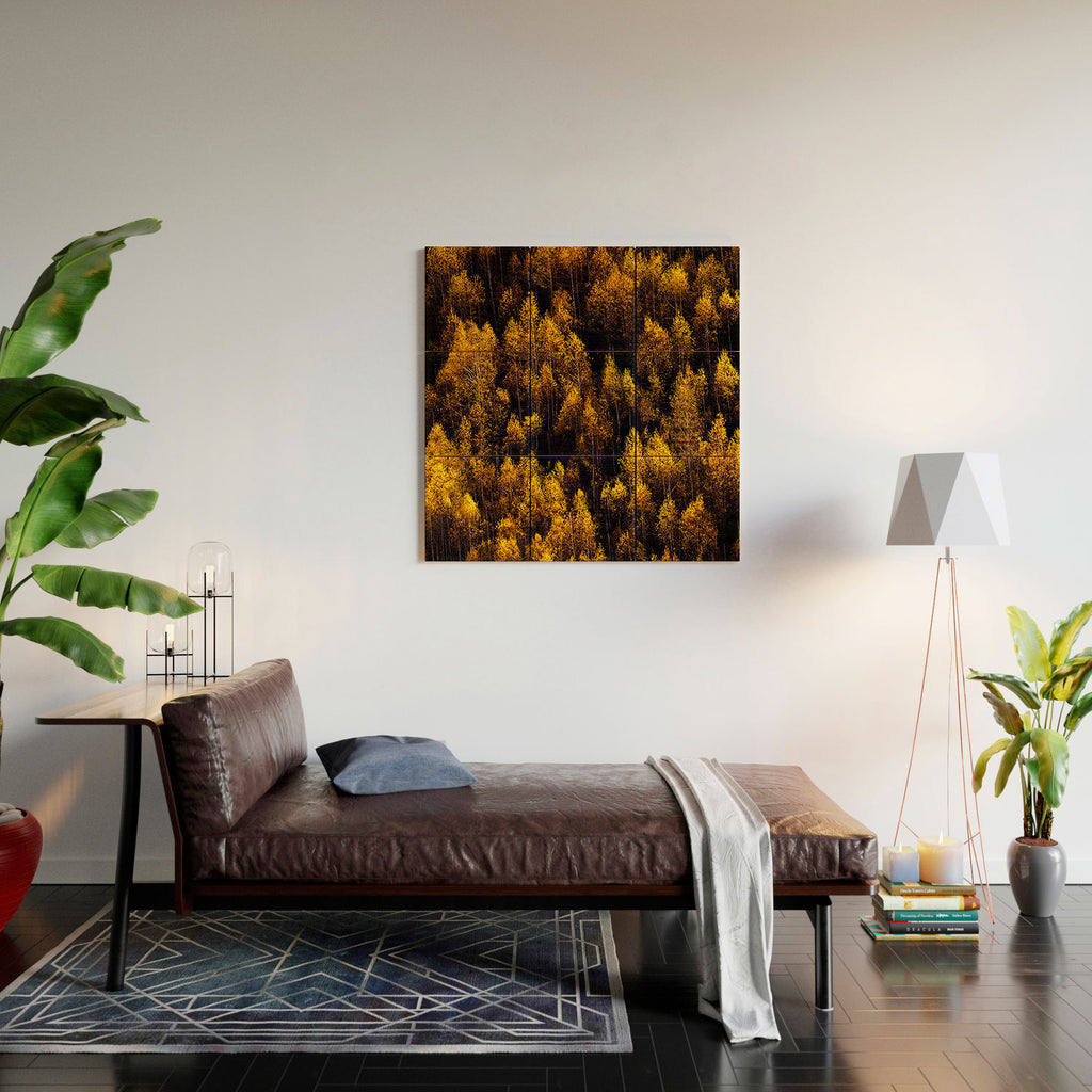 landscape trees 87 Wood Wall Art Gallery Image 2