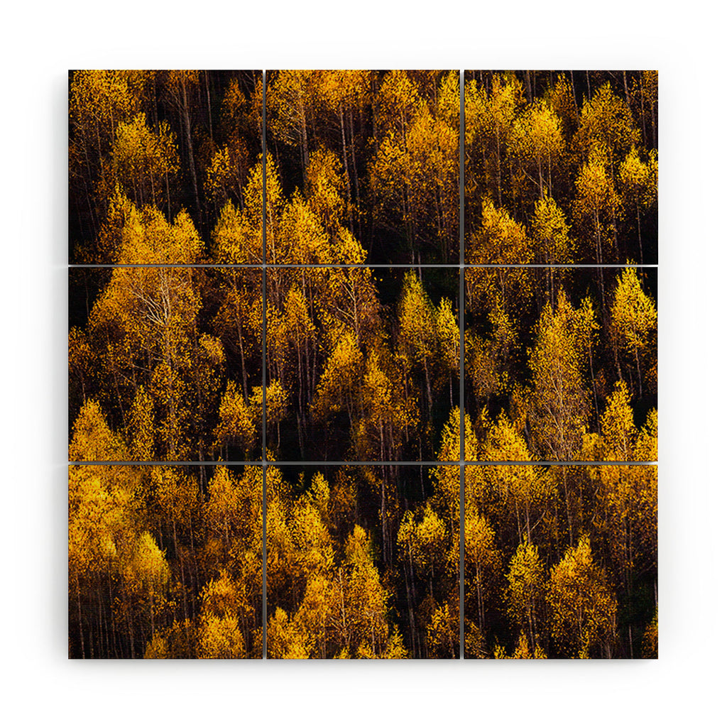 landscape trees 87 Wood Wall Art Gallery Image 3