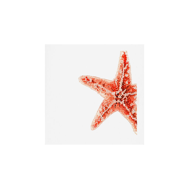 Coastal. Star Fish. Watercolor. Art Print Gallery Image 1