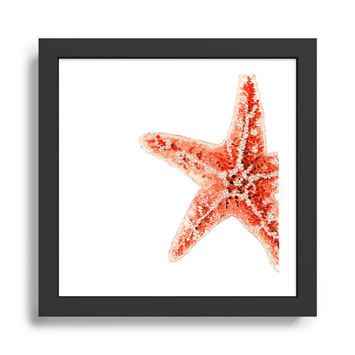 Coastal. Star Fish. Watercolor. Framed Art Print Gallery Image 1