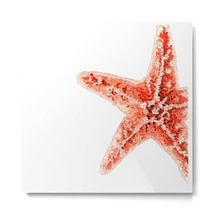 Coastal. Star Fish. Watercolor. Metal Print Gallery Image 1
