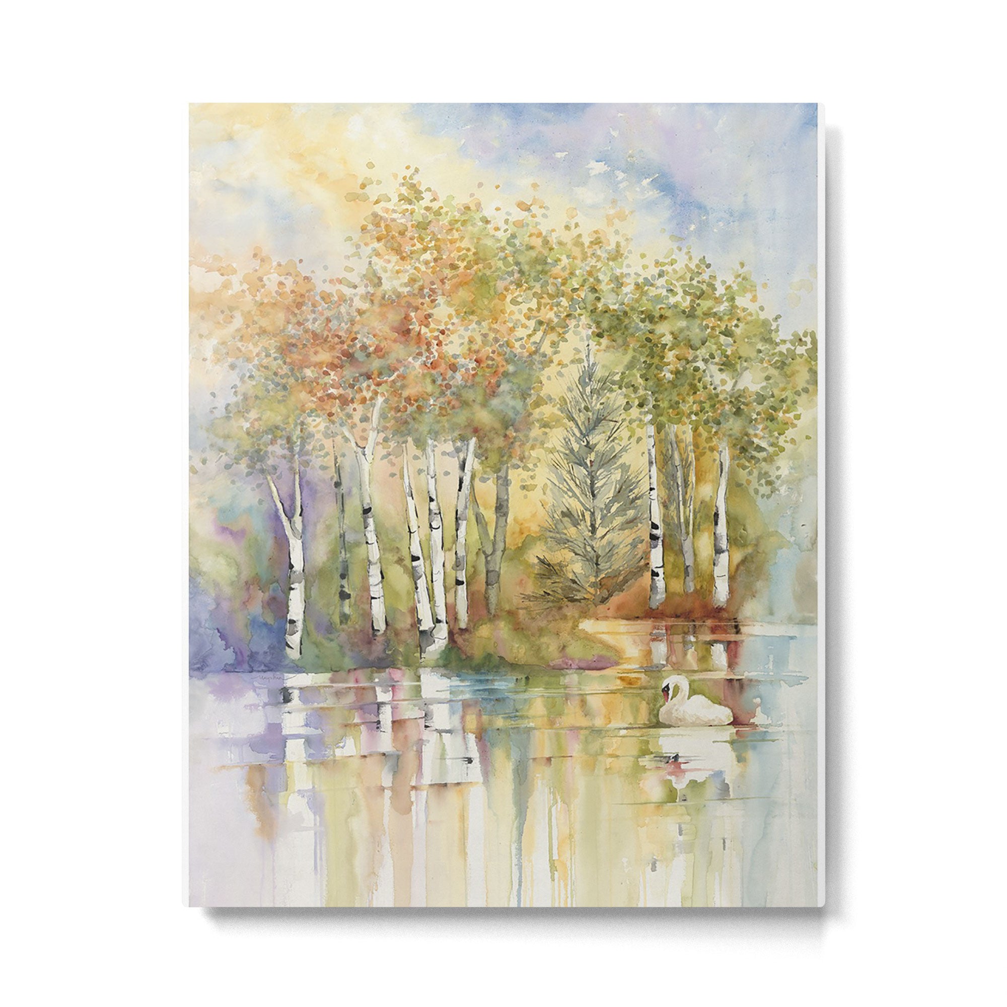 Swan Lake with Birch Trees  Metal Print Gallery Image 4