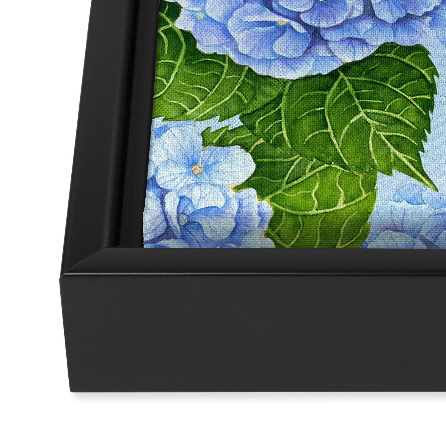 Blue hydrangea watercolor  Framed Canvas Print Gallery Image 3