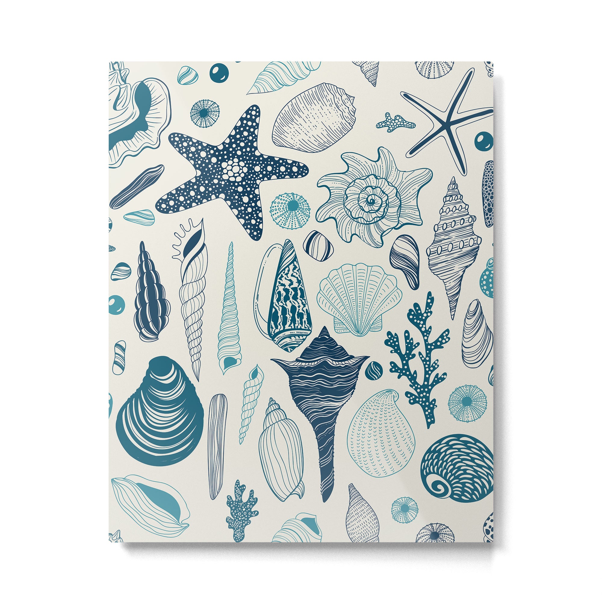 Sea shells on off white Metal Print Gallery Image 4