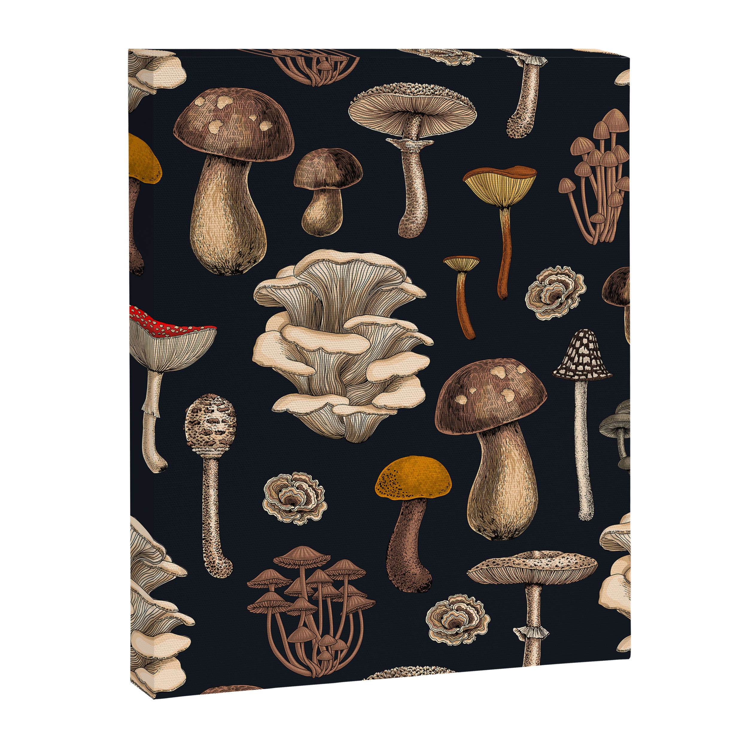 Wild Mushrooms  on graphite black Canvas Print Gallery Image 6