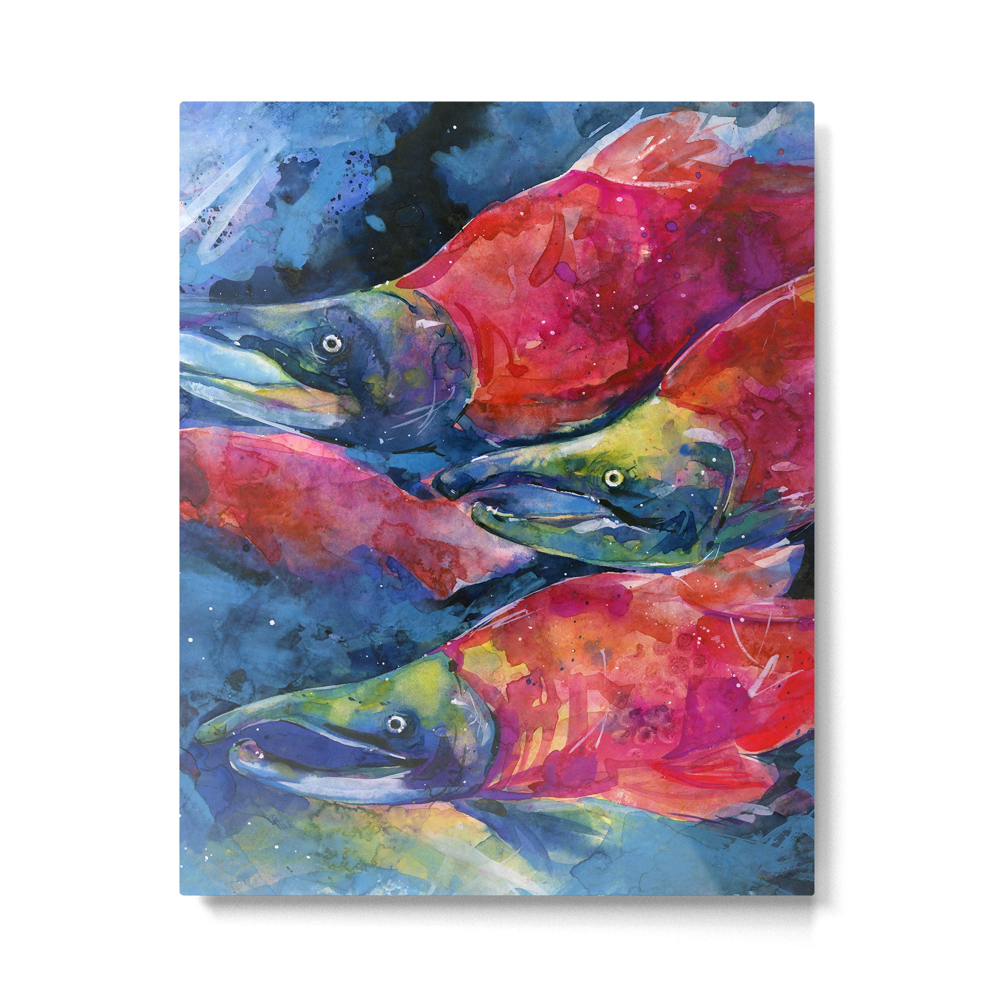 Sockeye Salmon by Kathy Morton Stanion Metal Print Gallery Image 6