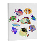 Tropical Fish Canvas Print Gallery Image 6