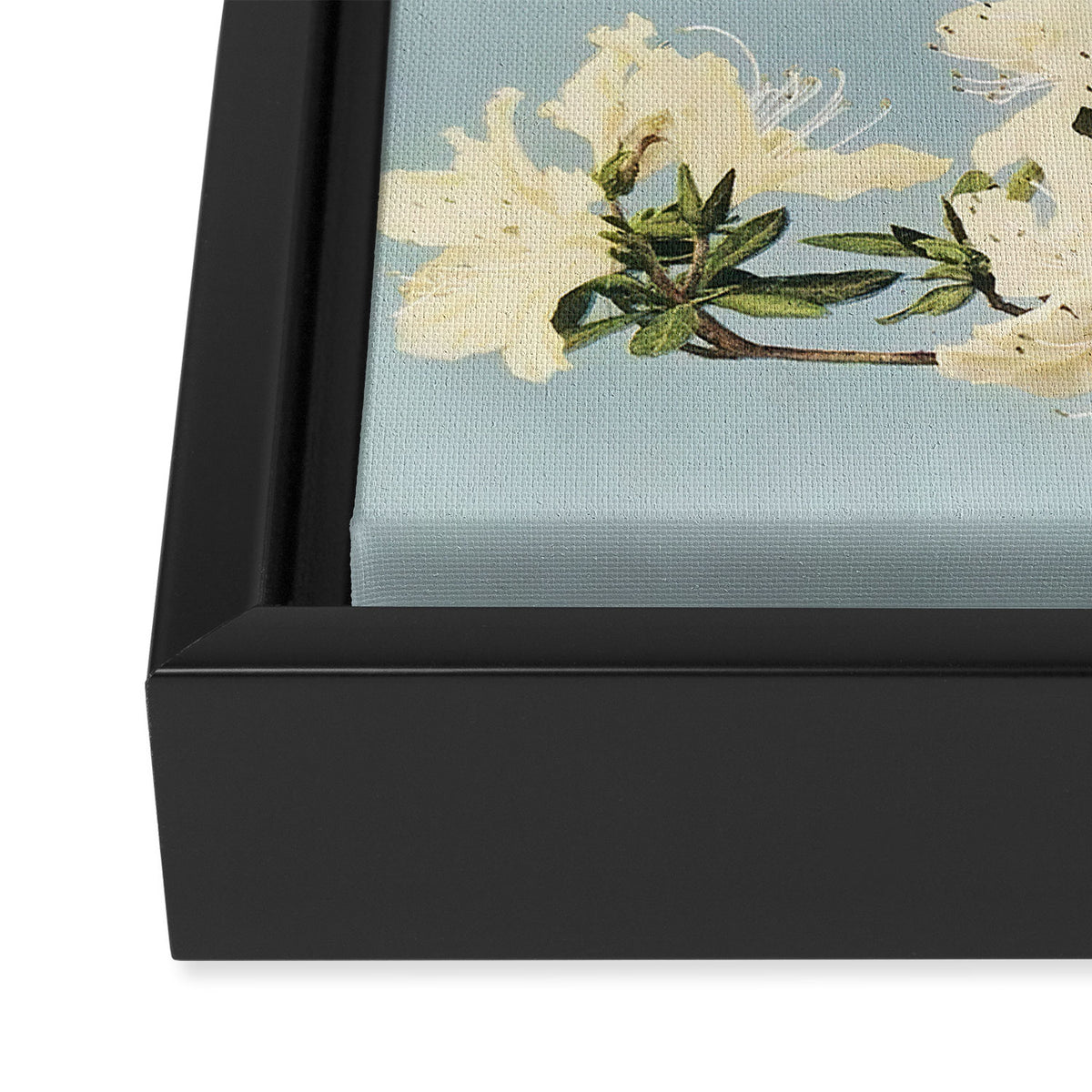 Japanese Azaleas by Ogawa Kazumasa Framed Canvas Print Gallery Image 3
