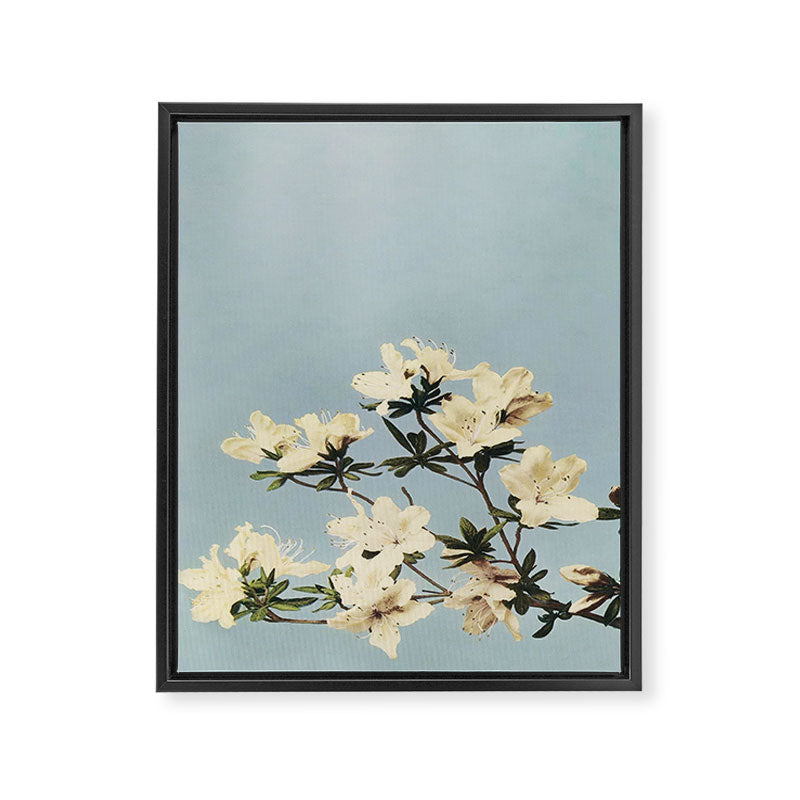 Japanese Azaleas by Ogawa Kazumasa Framed Canvas Print Gallery Image 6