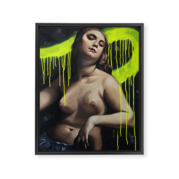 Asp Framed Canvas Print Gallery Image 1