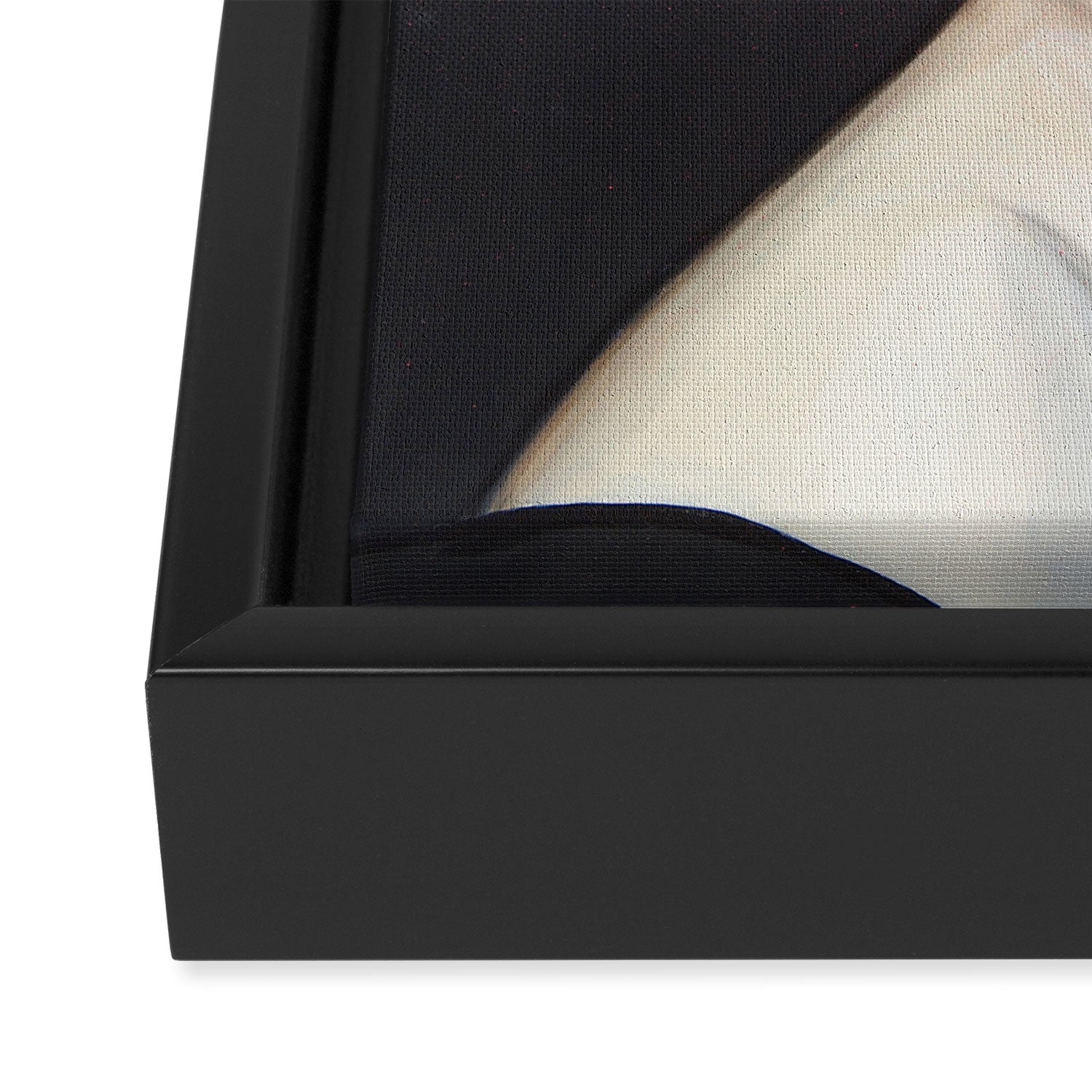 Giddy Framed Canvas Print Gallery Image 3