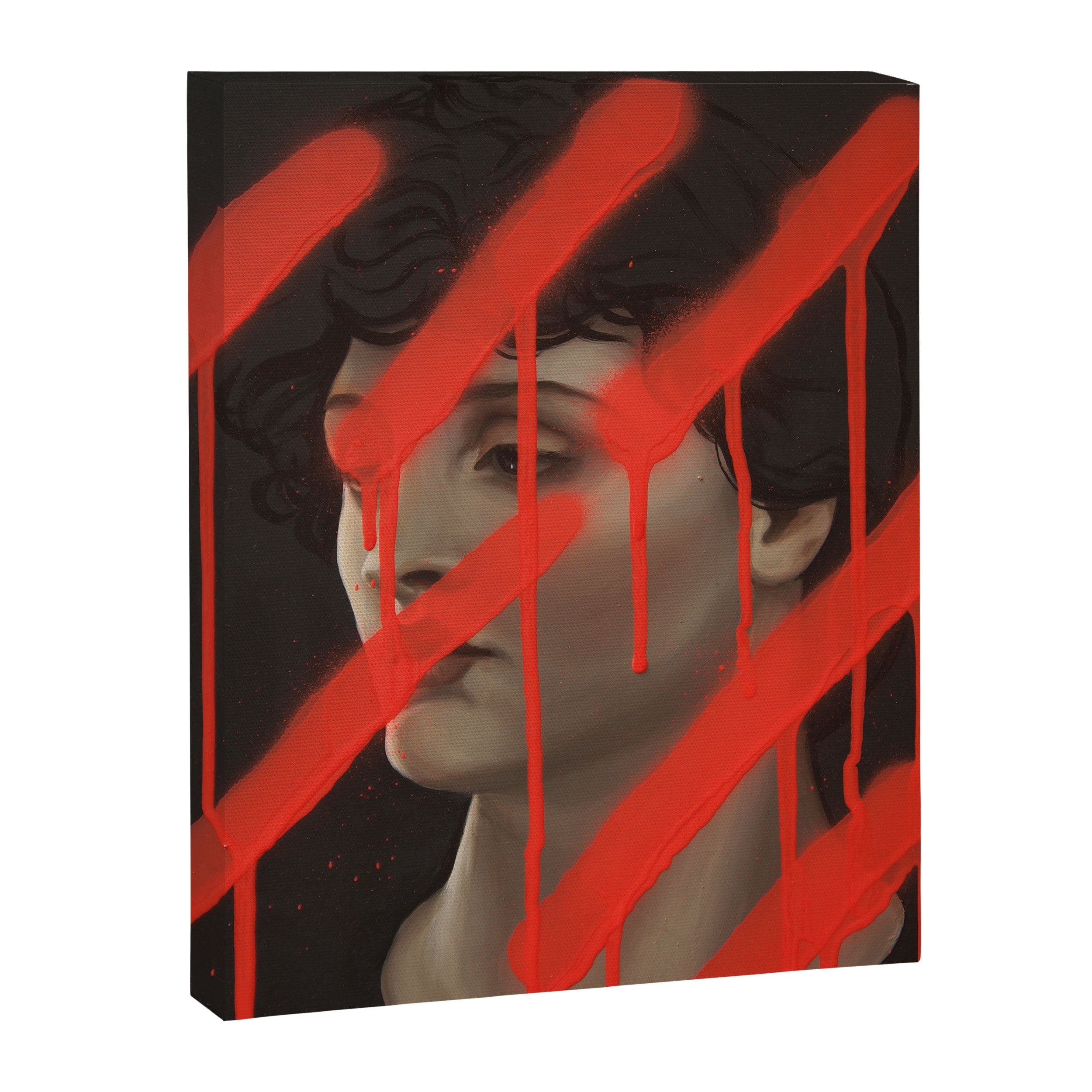 Unspoken I Canvas Print Gallery Image 6