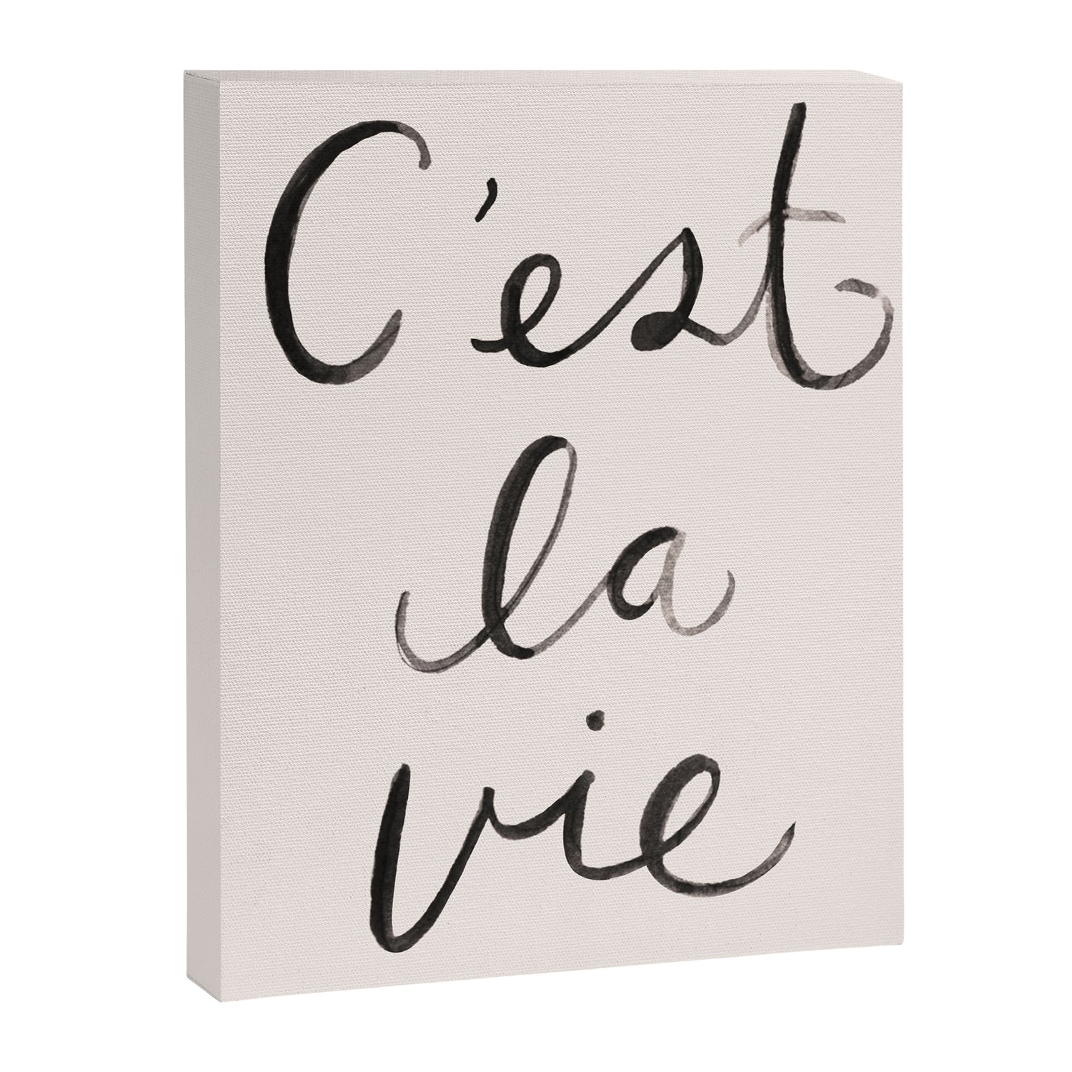 C'est La Vie Canvas Print Gallery Image 6