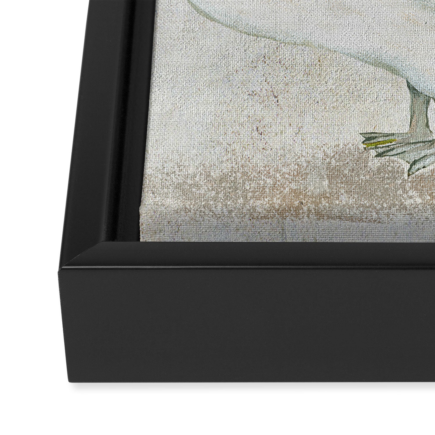 Swan and Heron  Framed Canvas Print Gallery Image 3